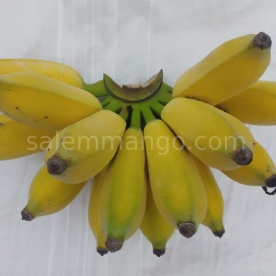 Karpooravalli Banana / Then Vazhai